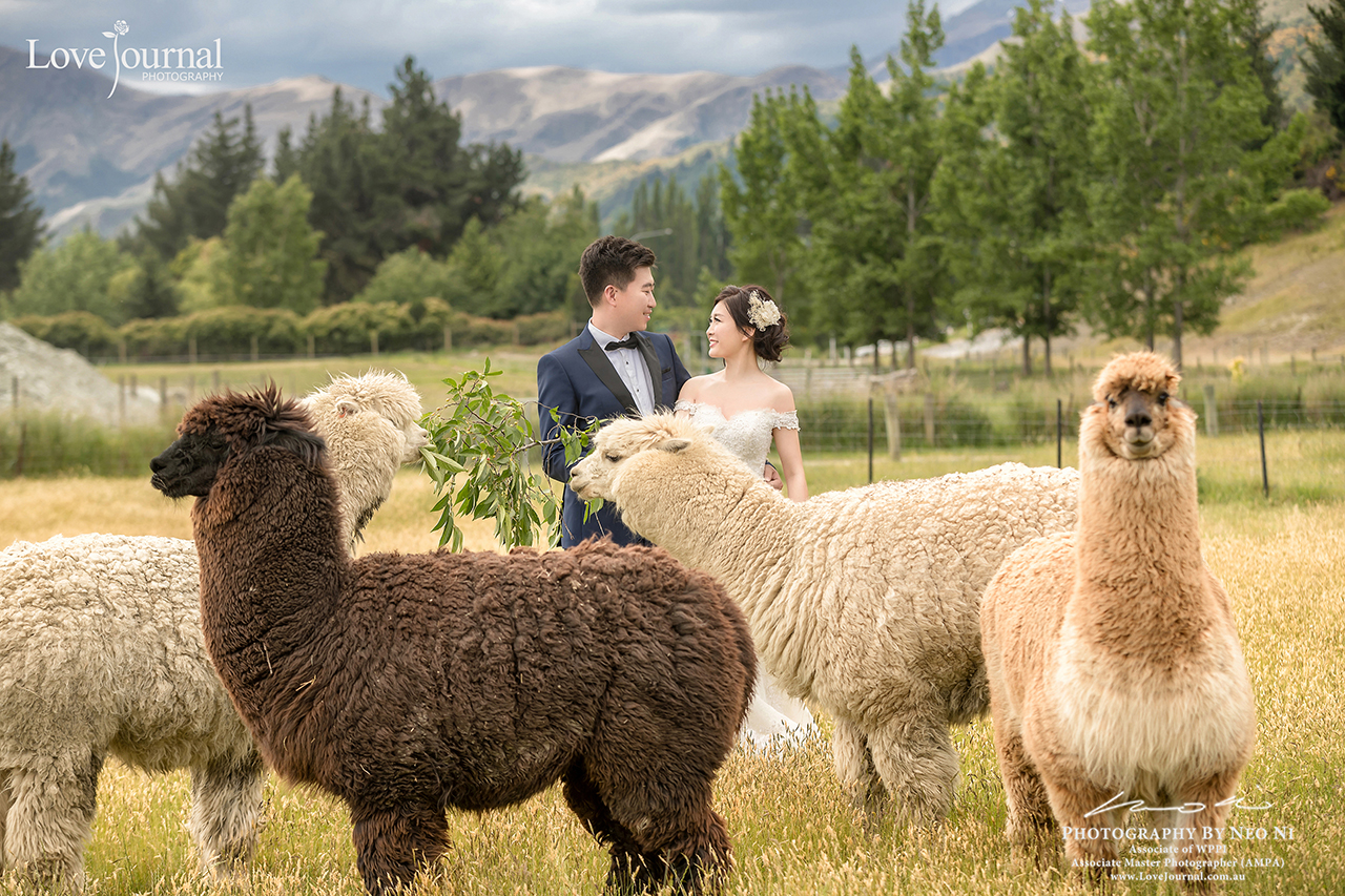 Pre-Wedding-Photography-New-Zealand