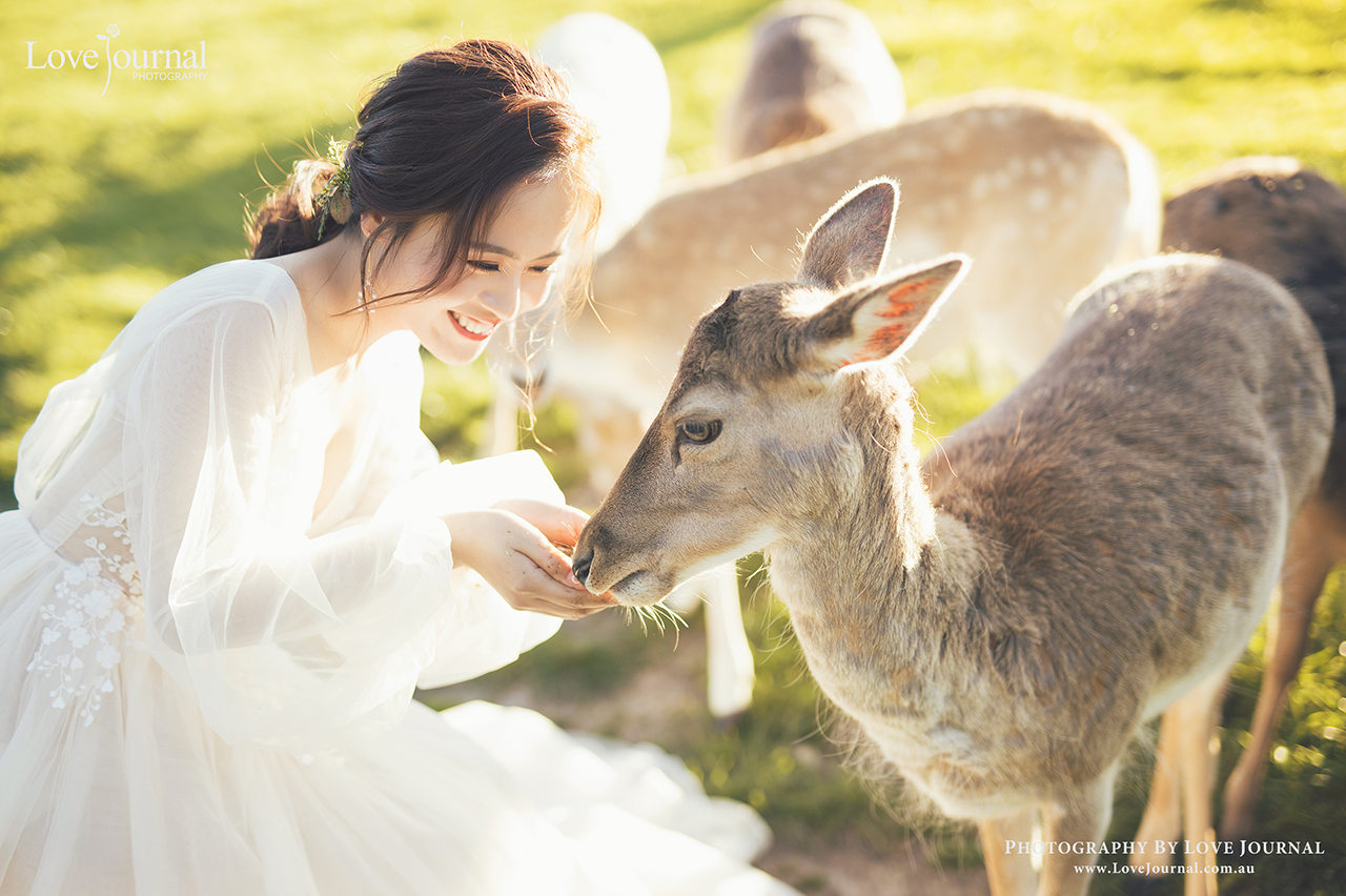 Gum-gully-farm-Deer-farm-pre-wedding-photography