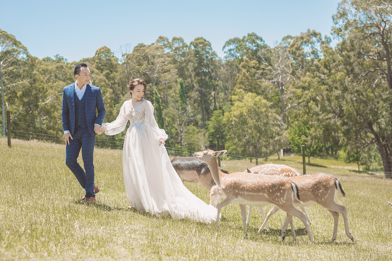 Gum-gully-farm-Deer-farm-pre-wedding-photography
