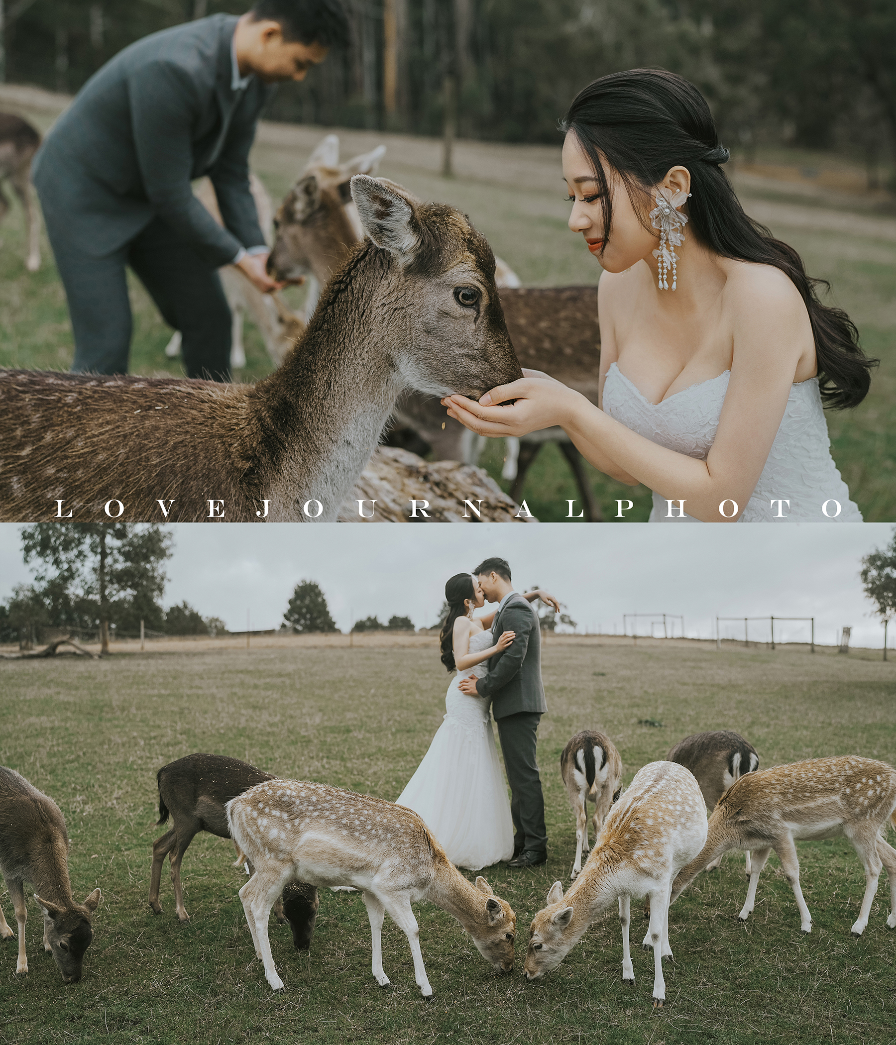 Melbourne-Pre-wedding-Photography