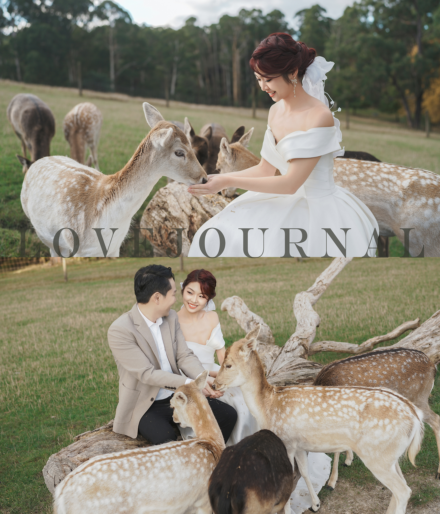 Melbourne-Pre-wedding-Photography