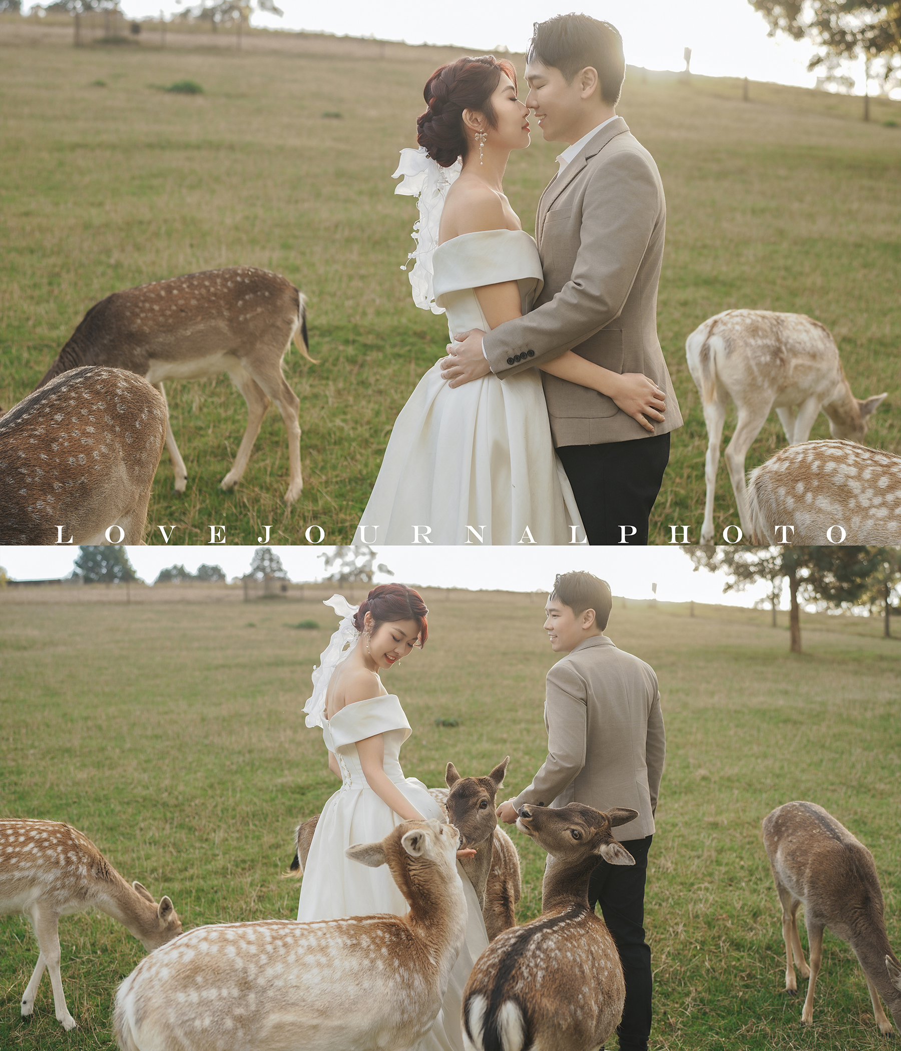 Melbourne-Pre-wedding-Photography