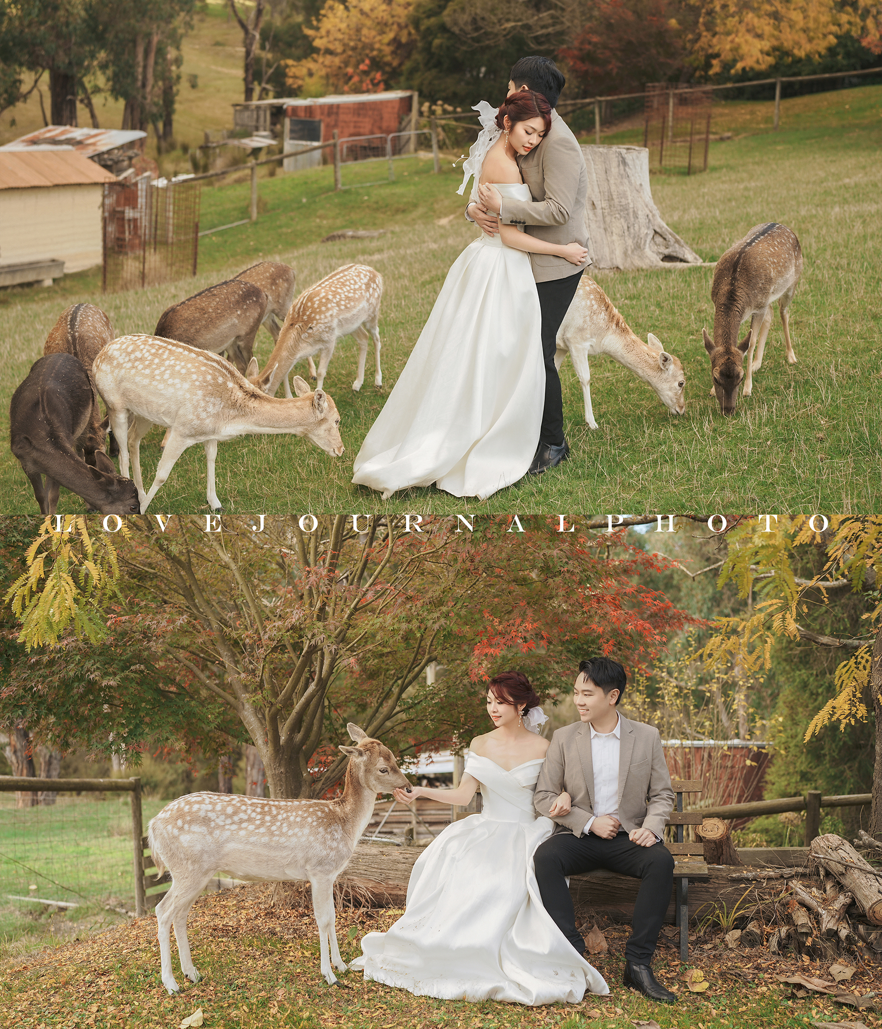 Melbourne-Pre-wedding-Photography