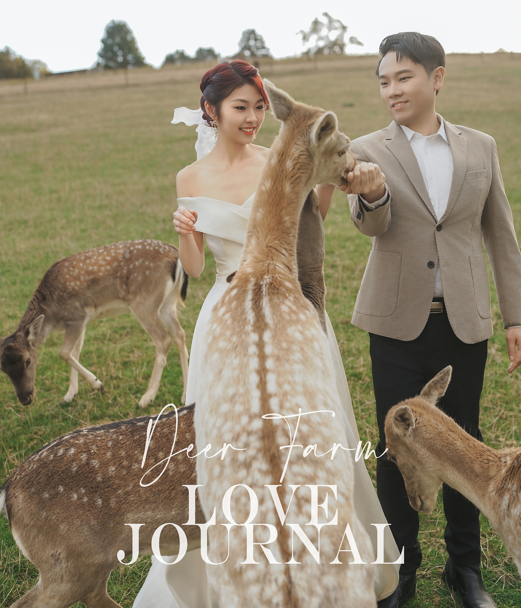 Melbourne-Pre-wedding-Photography