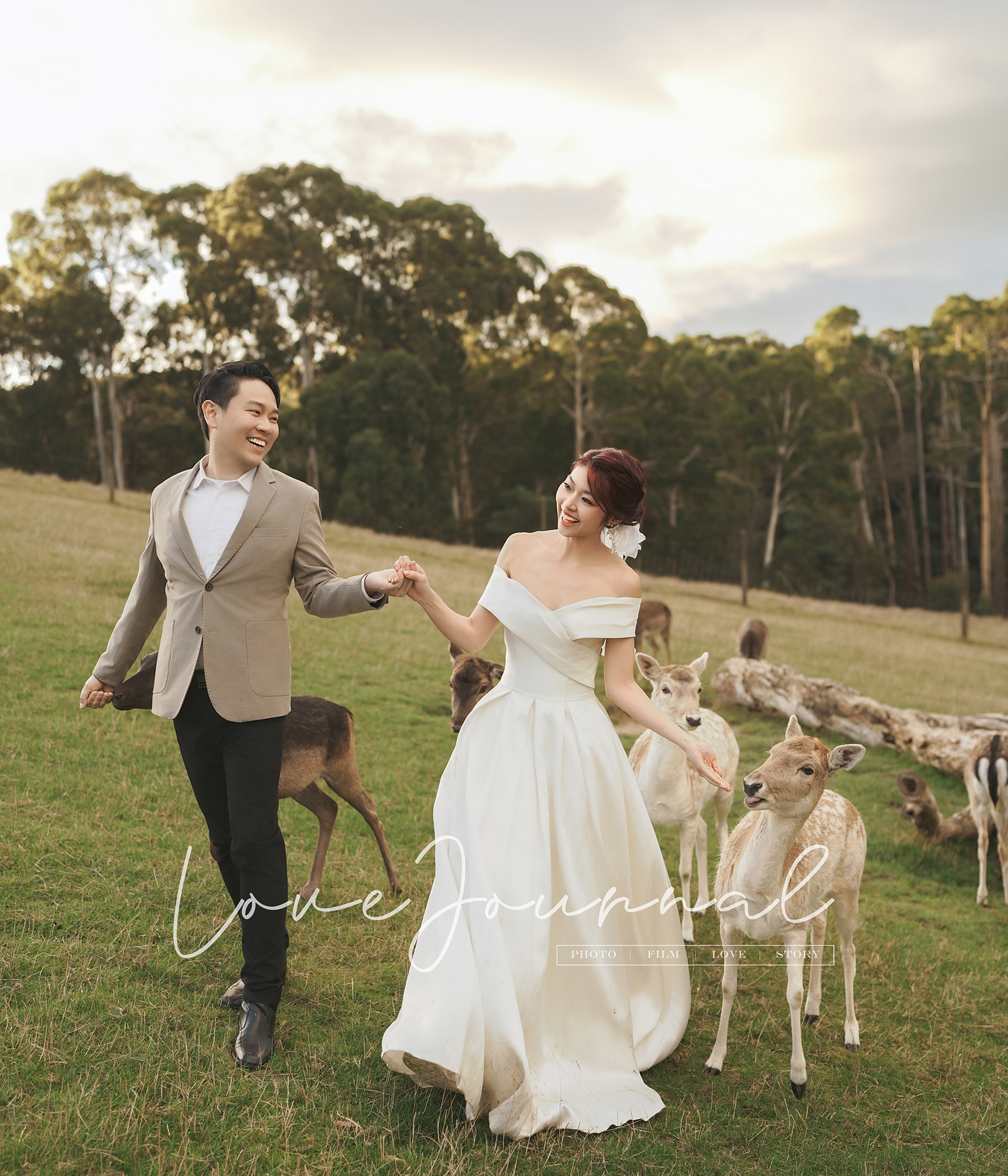 Melbourne-Pre-wedding-Photography