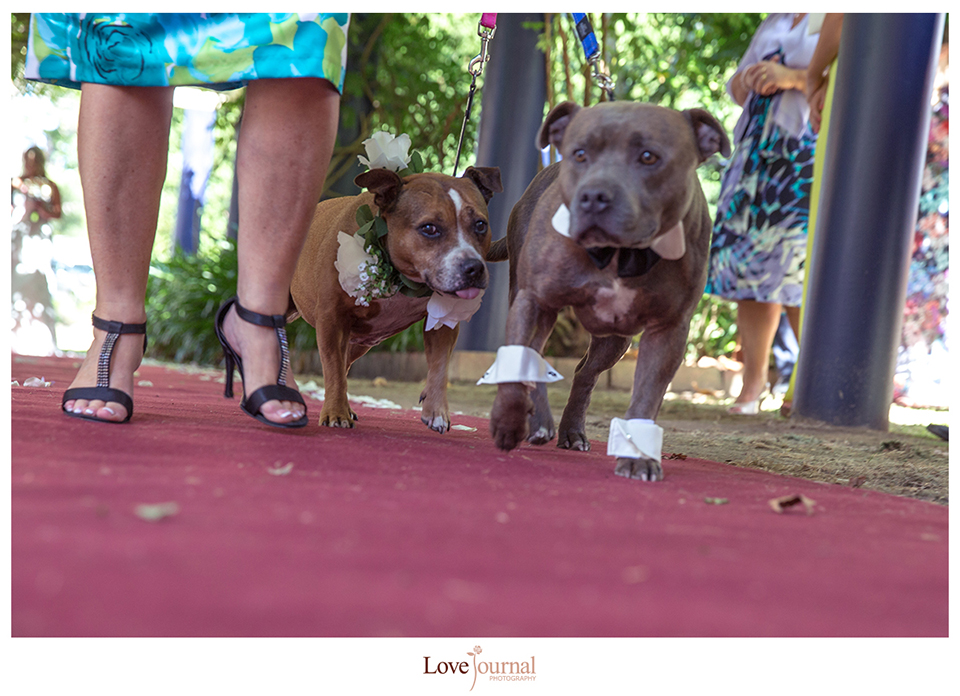 Wedding Photography Melbourne